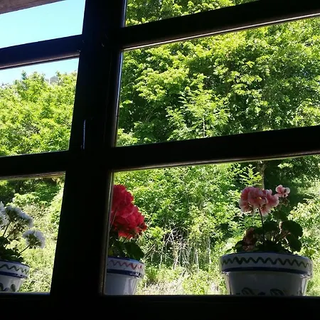Del Ponton Chalet